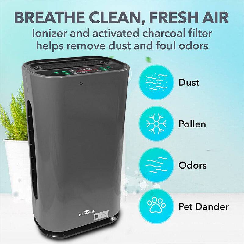 Air purifier for dust removal