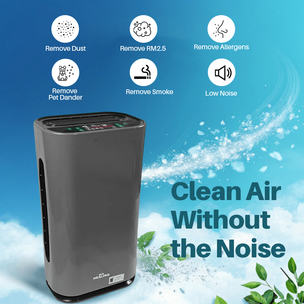 Best-rated air purifier 2024